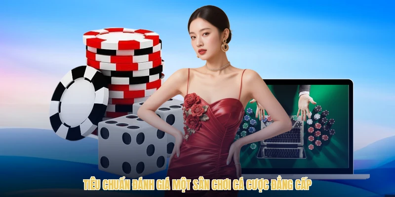 Tiêu chuẩn đánh giá một sân chơi cá cược đẳng cấp