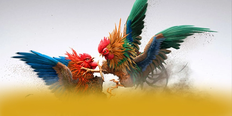 [THUONG_HIEU] - Cổng game bài mượt mà số 1 Việt Nam