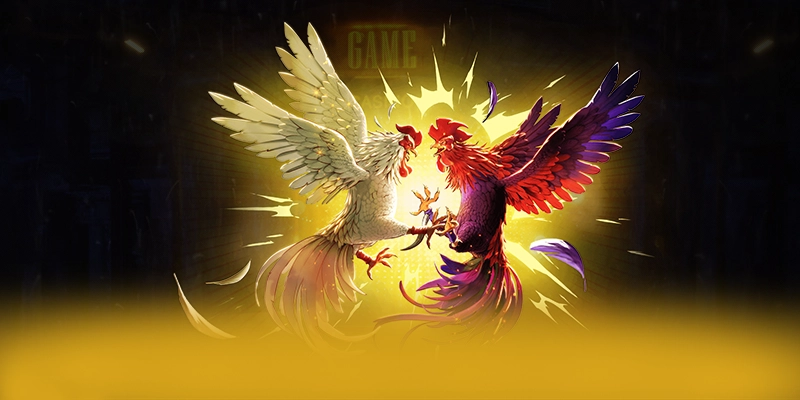 Nền tảng đa nền tảng cùng BET168